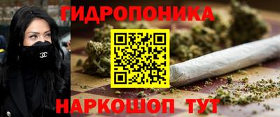 шишки Ирбит