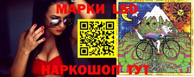 шишки Ирбит