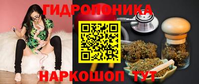 Альфа ПВП Ипатово