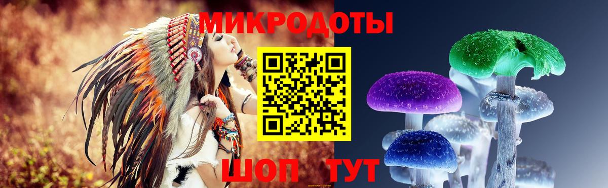 Дзержинск  Псилоцибиновые грибы мицелий  Вход с VPN 