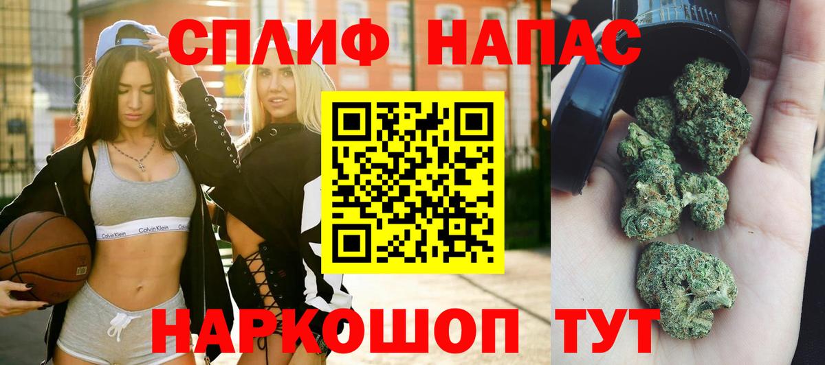 Конопля планчик Дзержинск
